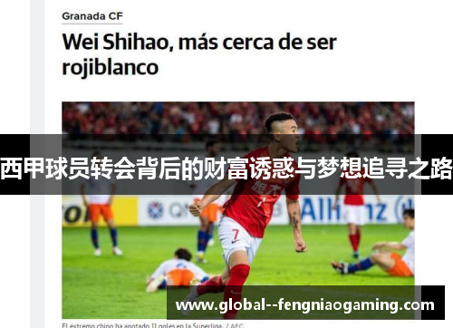 西甲球员转会背后的财富诱惑与梦想追寻之路