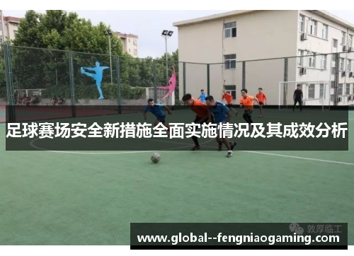 足球赛场安全新措施全面实施情况及其成效分析