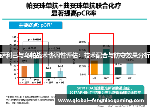 萨利巴与乌帕战术协调性评估：技术配合与防守效果分析