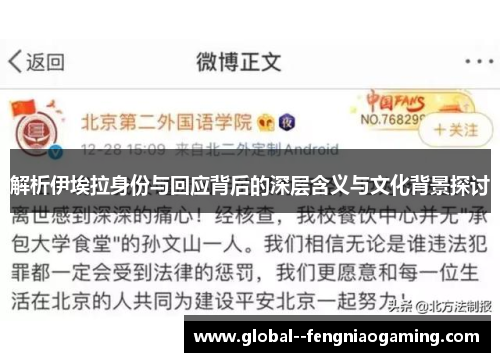 解析伊埃拉身份与回应背后的深层含义与文化背景探讨