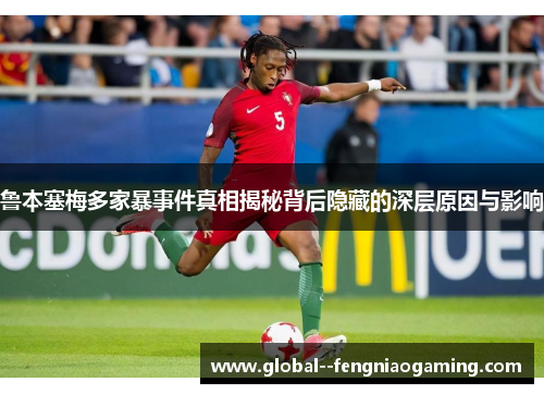 鲁本塞梅多家暴事件真相揭秘背后隐藏的深层原因与影响