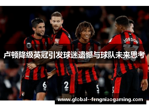 卢顿降级英冠引发球迷遗憾与球队未来思考